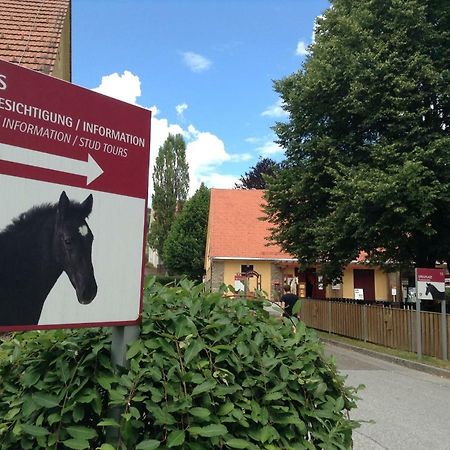 Weststeirische Ferienwohnung Piber Екстер'єр фото