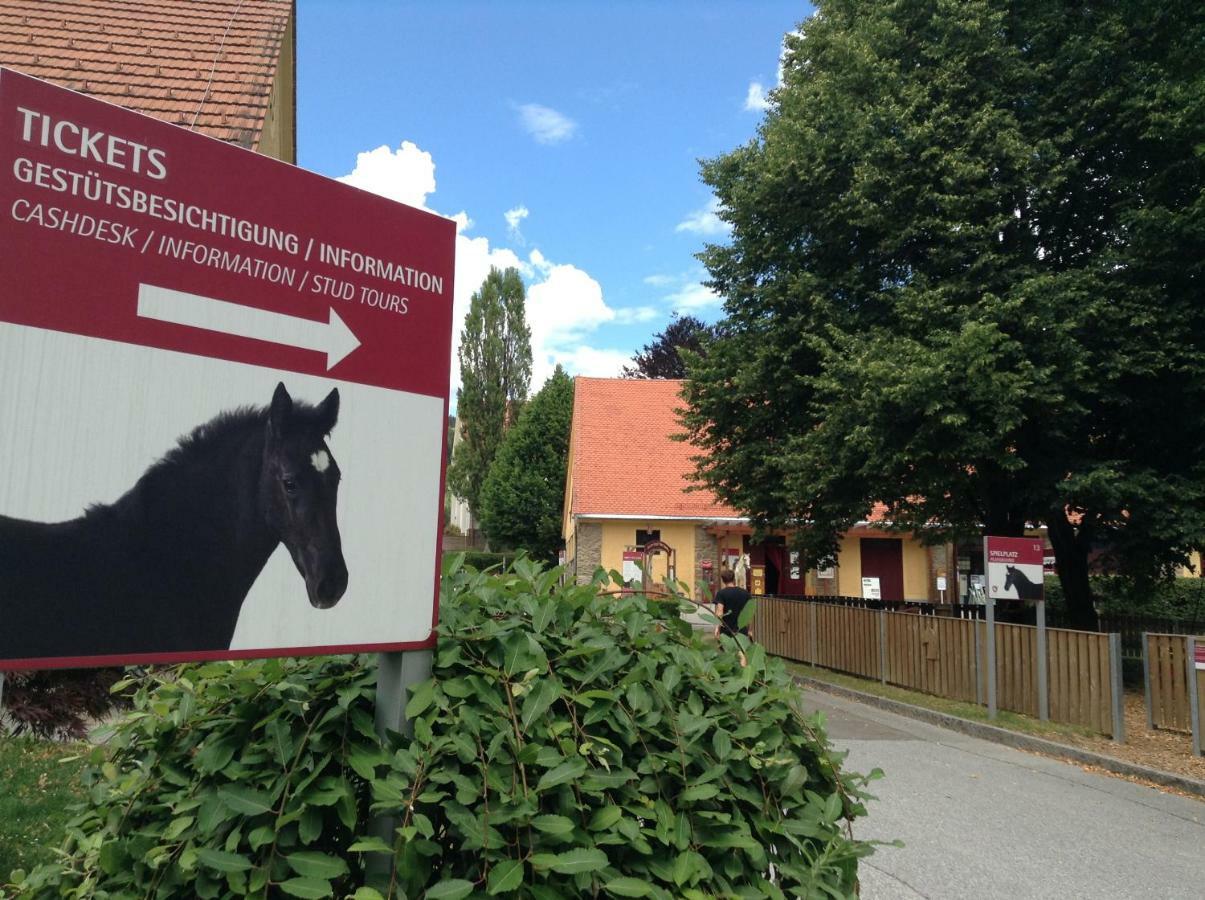 Weststeirische Ferienwohnung Piber Екстер'єр фото
